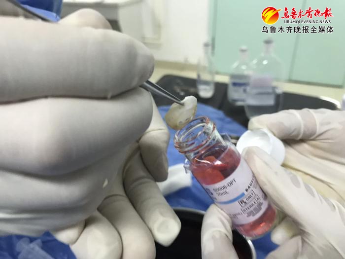 "將光明留在人間"——一個老兵生命*后的禮物