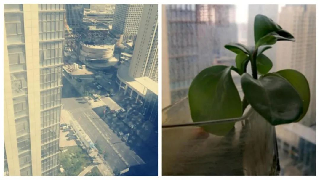 來時(shí)無畏，不勝不歸—楊醫(yī)生抗疫日記(2)